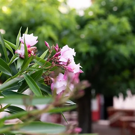 Juantorena Szálloda Saint-Étienne-de-Baïgorry