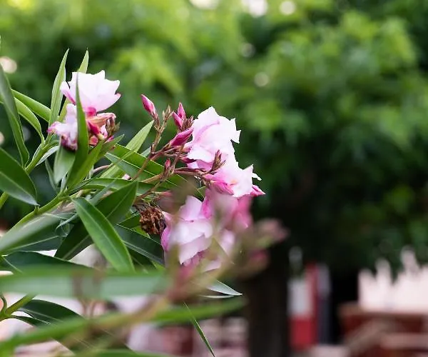 Juantorena Hotel Saint-Etienne-de-Baigorry